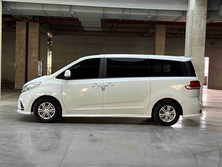 Фото 2 - Maxus G10