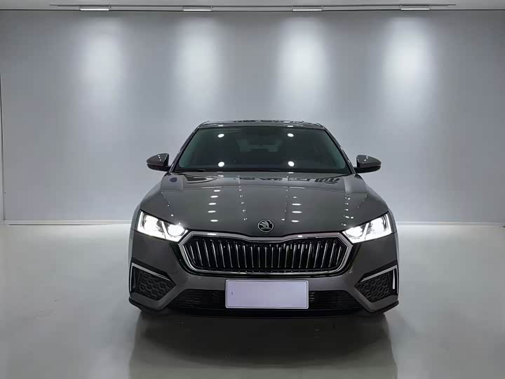 Фото 2 - Skoda Octavia Pro