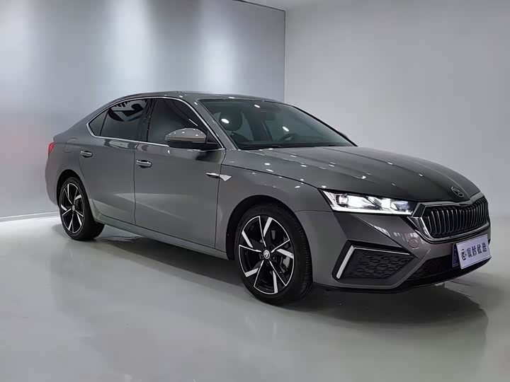 Фото 3 - Skoda Octavia Pro