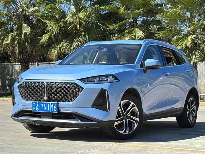 Фото 1 - Wey Macchiato DHT