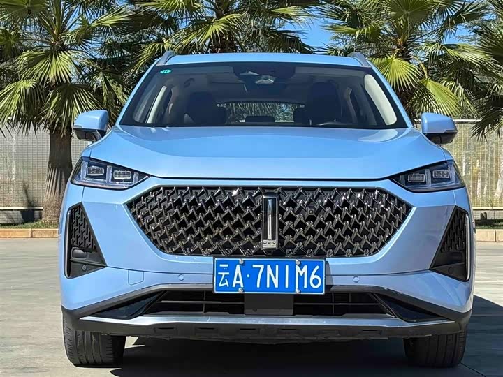 Фото 2 - Wey Macchiato DHT