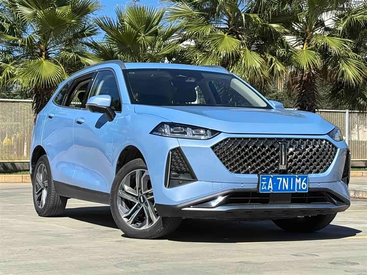 Фото 3 - Wey Macchiato DHT