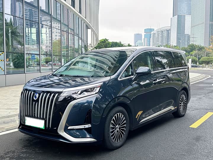 Фото 1 - Denza D9