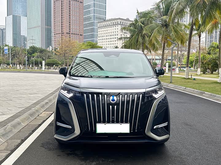 Фото 2 - Denza D9