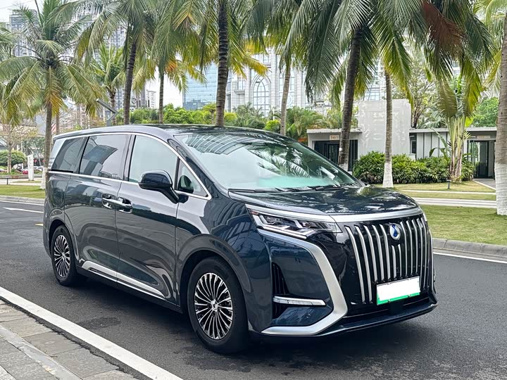 Фото 3 - Denza D9