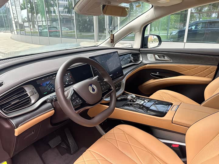 Фото 4 - Denza D9