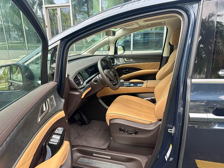 Фото 5 - Denza D9