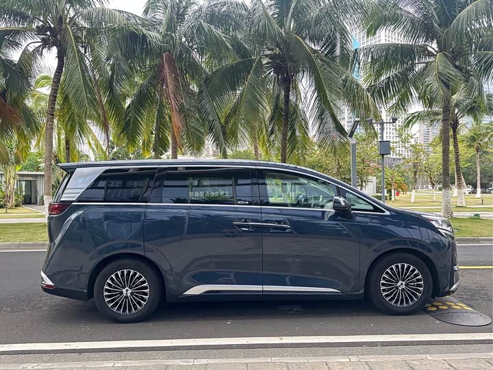 Фото 9 - Denza D9