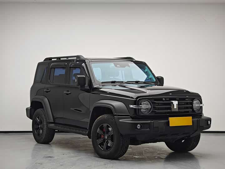 Фото 2 - Tank 300