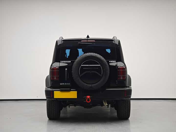 Фото 4 - Tank 300