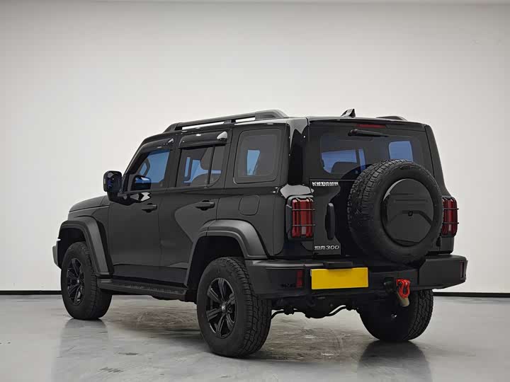 Фото 6 - Tank 300