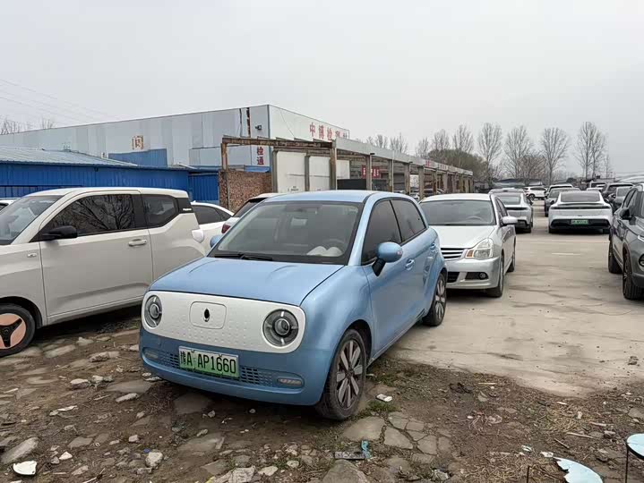 Фото 1 - Ora Black Cat