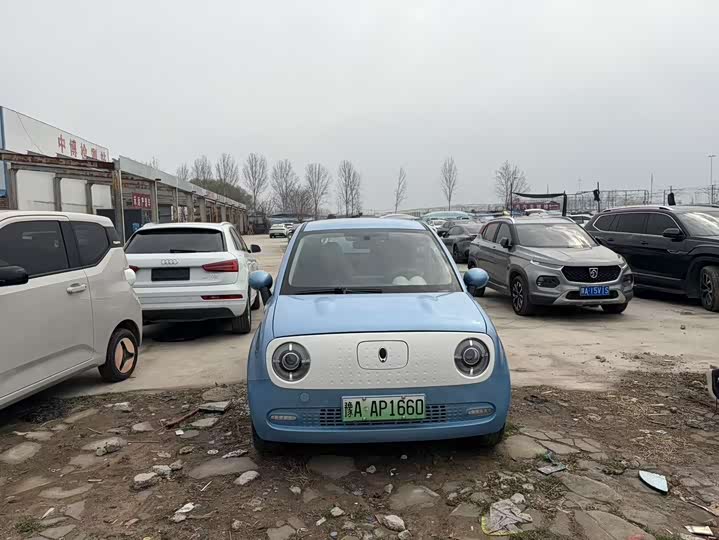 Фото 2 - Ora Black Cat