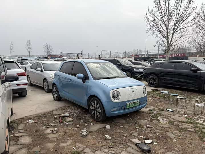 Фото 3 - Ora Black Cat