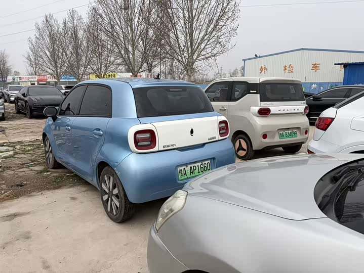 Фото 7 - Ora Black Cat