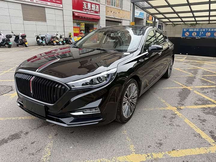 Фото 1 - Hongqi H5