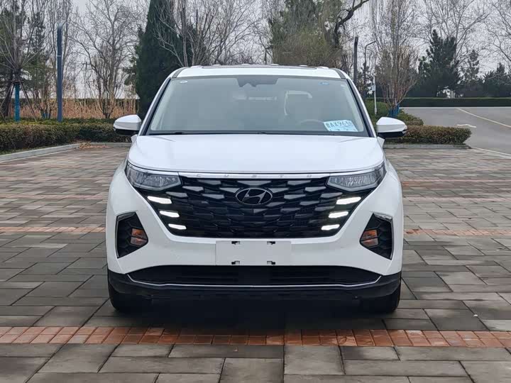 Фото 2 - Hyundai Custo
