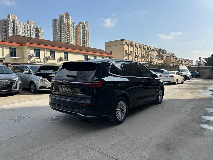 Фото 7 - Volkswagen Viloran