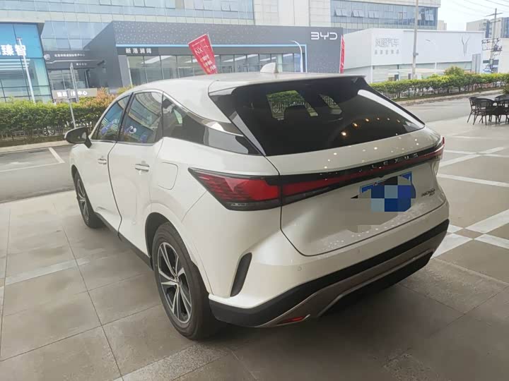 Фото 6 - Lexus RX