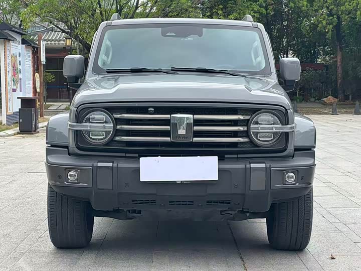 Фото 2 - Tank 300