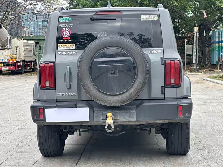 Фото 9 - Tank 300