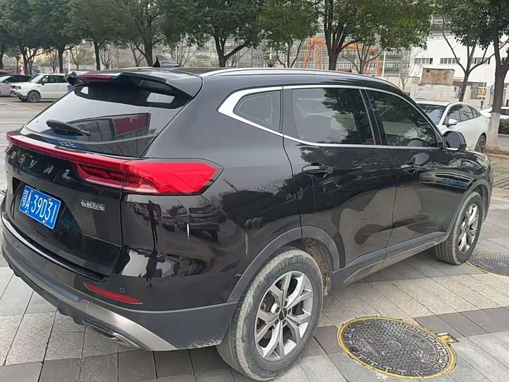 Фото 5 - Haval H6