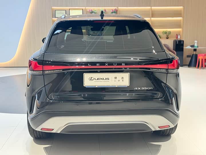 Фото 4 - Lexus RX