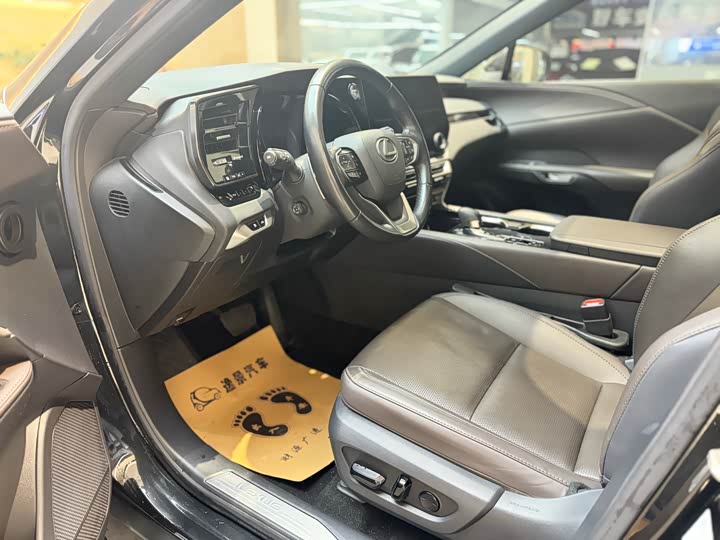 Фото 6 - Lexus RX