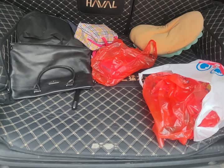 Фото 4 - Haval Raptor Hybrid