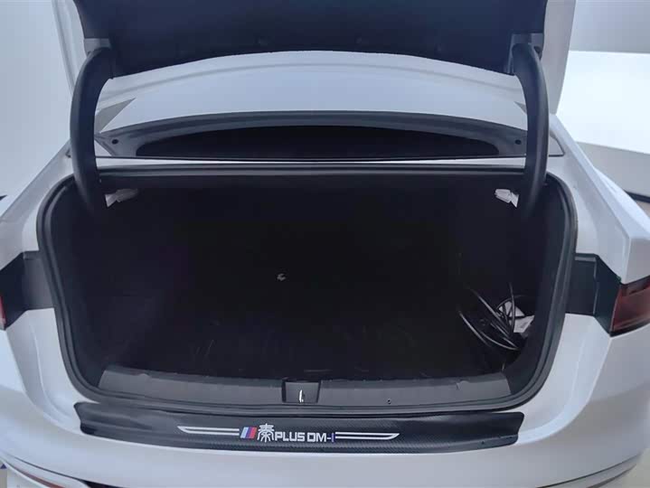 Фото 4 - BYD Qin Plus