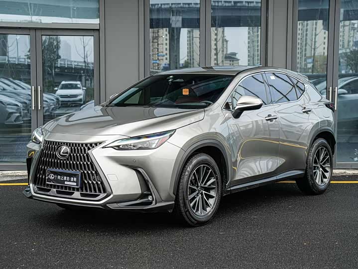 Фото 1 - Lexus NX