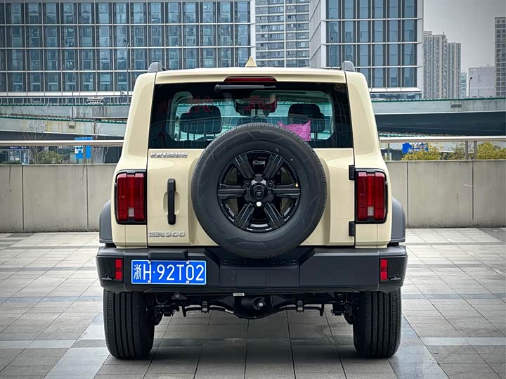 Фото 6 - Tank 300