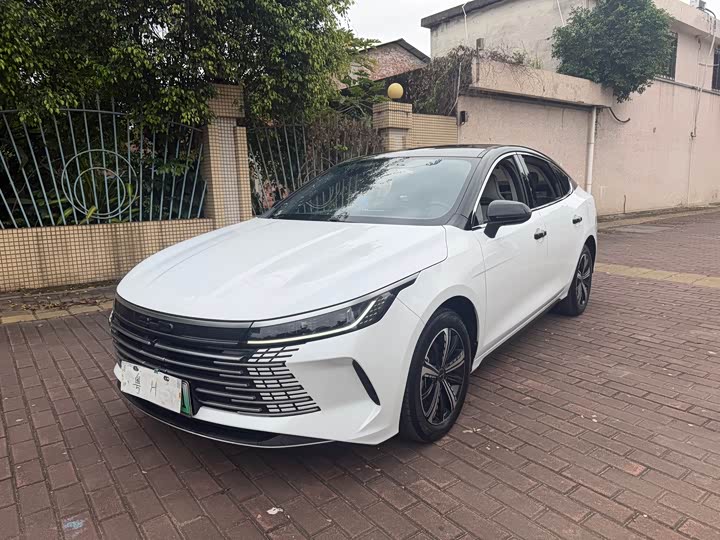 Фото 1 - BYD Destroyer 05