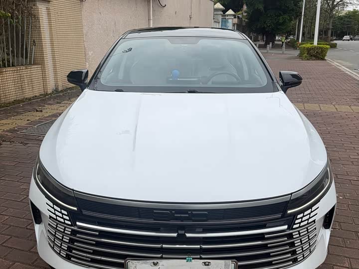 Фото 2 - BYD Destroyer 05