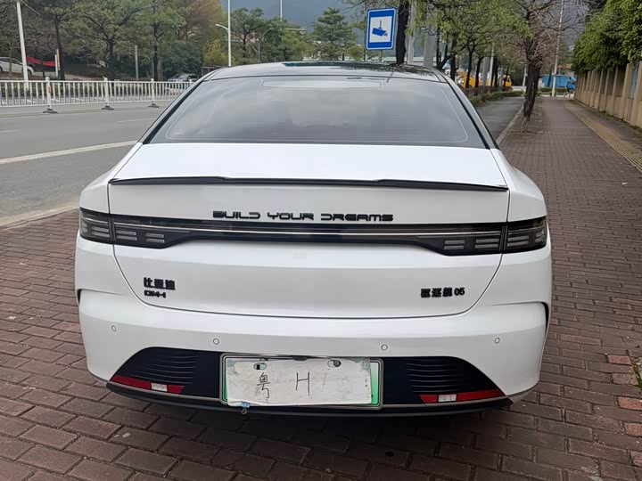 Фото 4 - BYD Destroyer 05