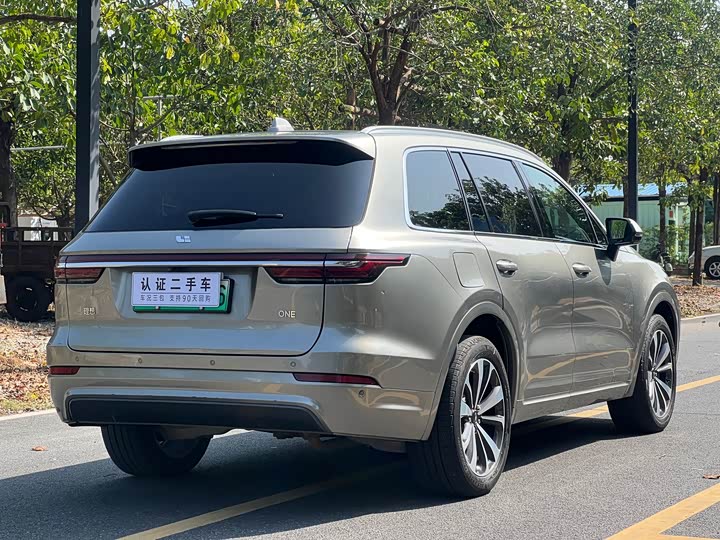 Фото 9 - LiXiang One