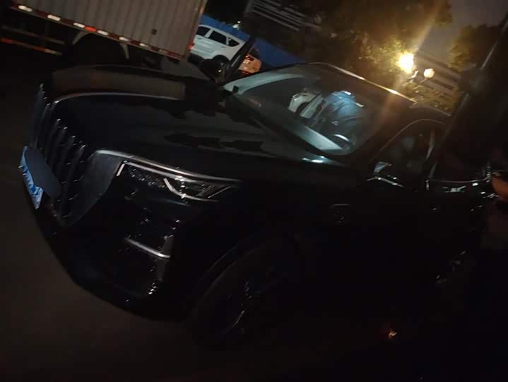 Фото 1 - Hongqi HS5