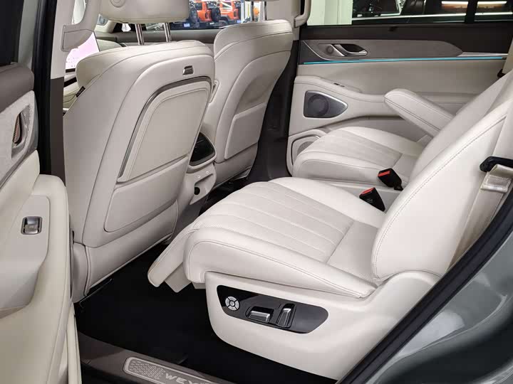 Фото 6 - Wey Lanshan