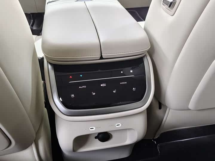 Фото 9 - Wey Lanshan