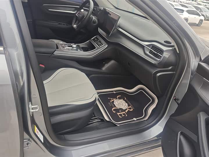 Фото 8 - BYD Destroyer 05