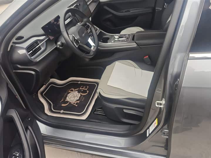 Фото 9 - BYD Destroyer 05