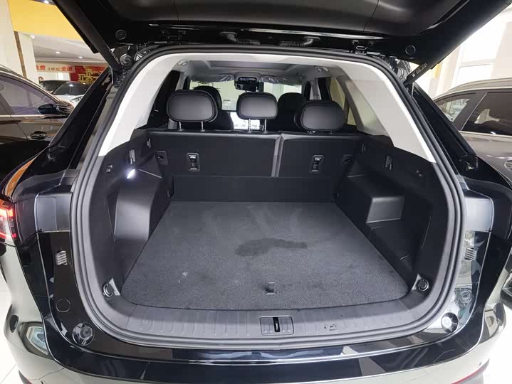 Photo 9 - Chery Fulwin T9