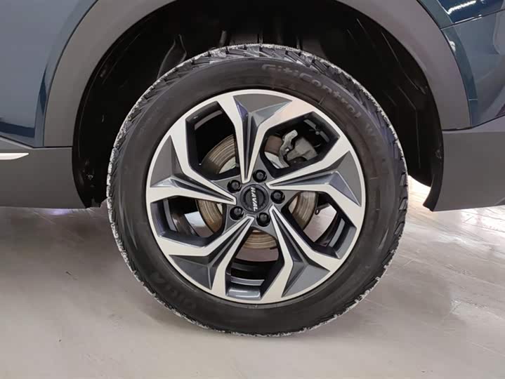 Фото 6 - Haval F7 (Monster)