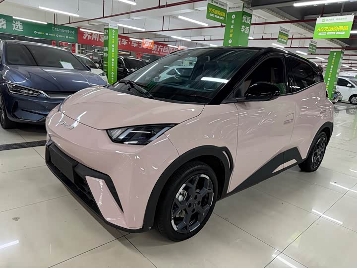 Фото 1 - BYD Seagull