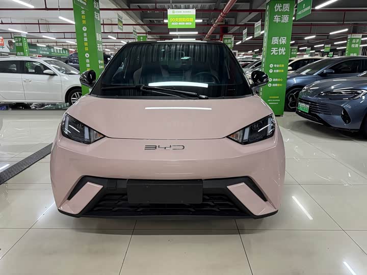 Фото 2 - BYD Seagull