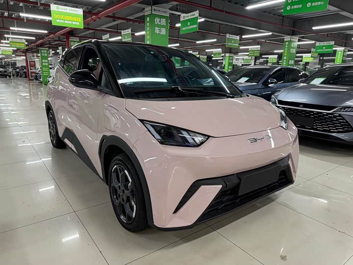 Фото 3 - BYD Seagull