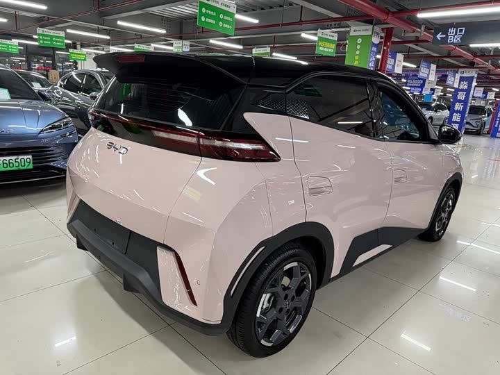 Фото 5 - BYD Seagull