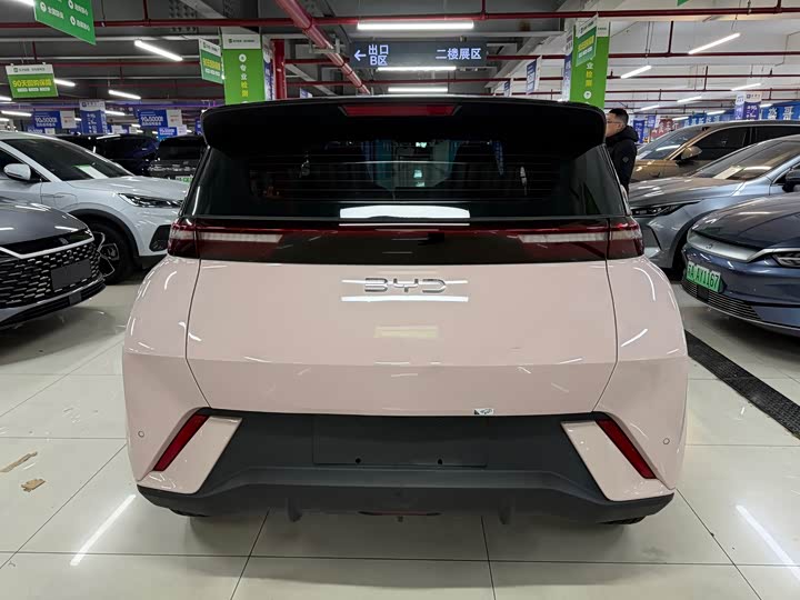 Фото 6 - BYD Seagull