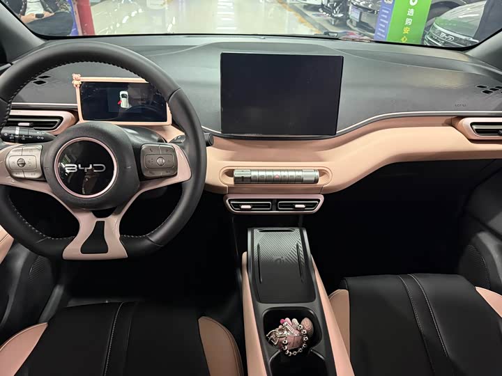 Фото 9 - BYD Seagull