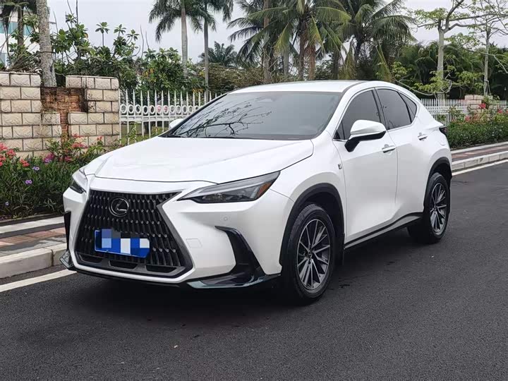 Фото 1 - Lexus NX